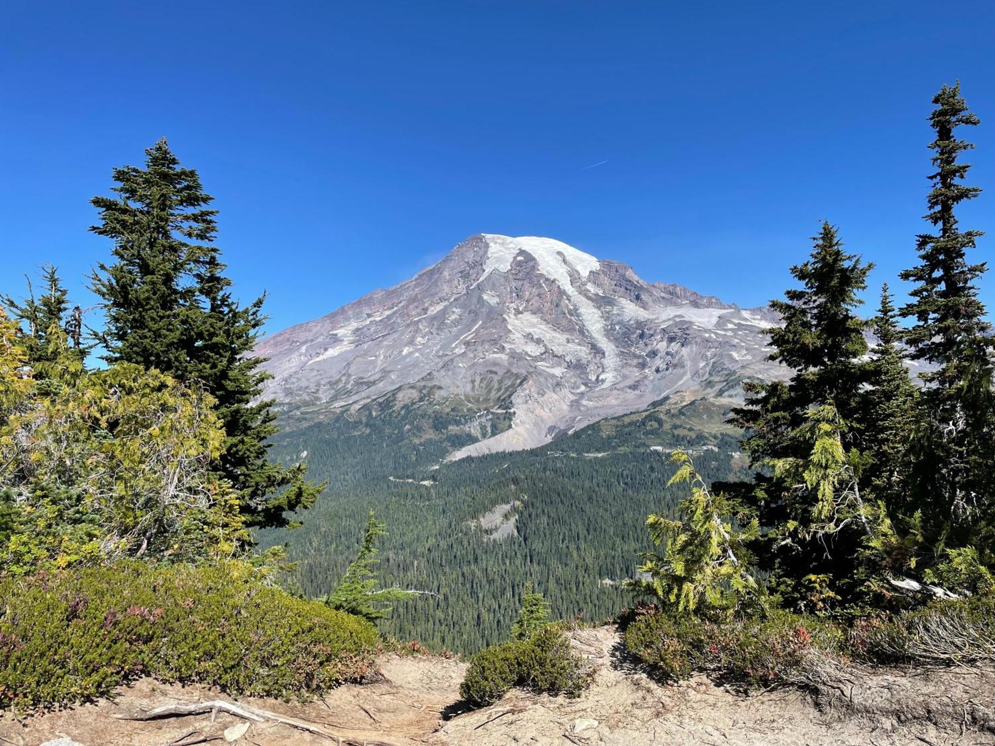 New Modern Cabin! 5Mi To Mt Rainier National Park! Hot Tub & Wifi Ashford Eksteriør bilde