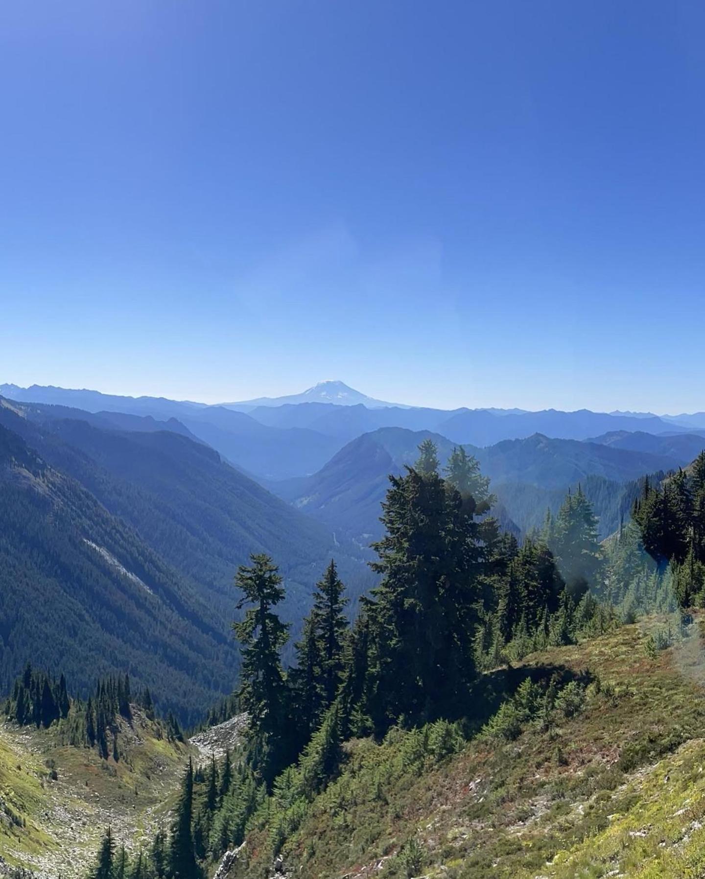 New Modern Cabin! 5Mi To Mt Rainier National Park! Hot Tub & Wifi Ashford Eksteriør bilde